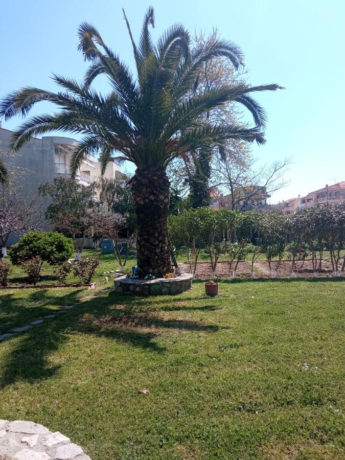 Sofia'S Garden Apartman Néa Péramos Kültér fotó