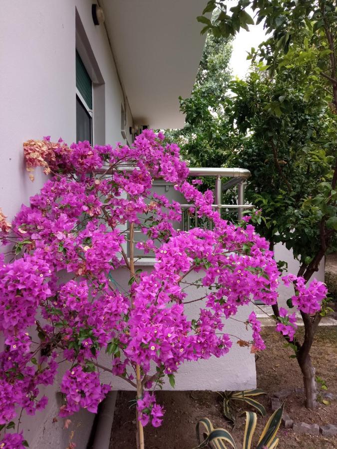 Sofia'S Garden Apartman Néa Péramos Kültér fotó