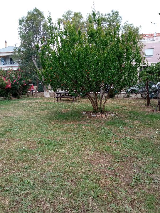 Sofia'S Garden Apartman Néa Péramos Kültér fotó